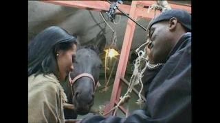 Nine grooms raped a cutie in the stables